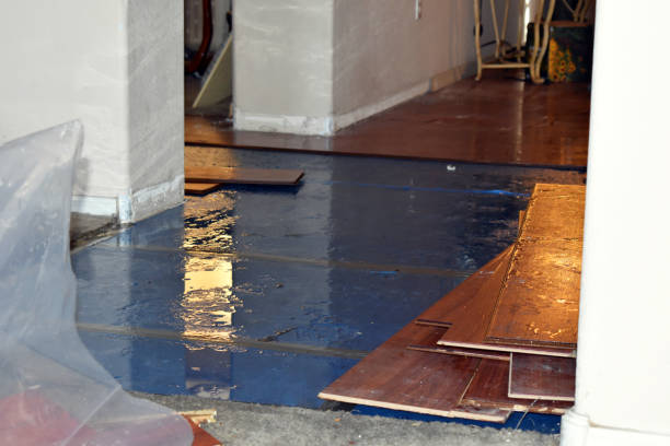 Professional Water Damage Restoration technician working in Cloverdale, CA